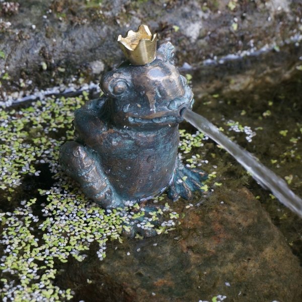 Wasserspeier kleiner Froschkönig