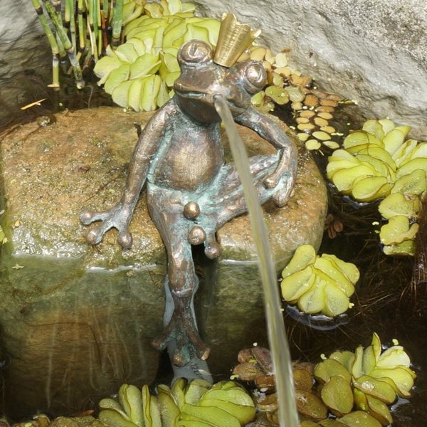 Wasserspeier Froschkönig